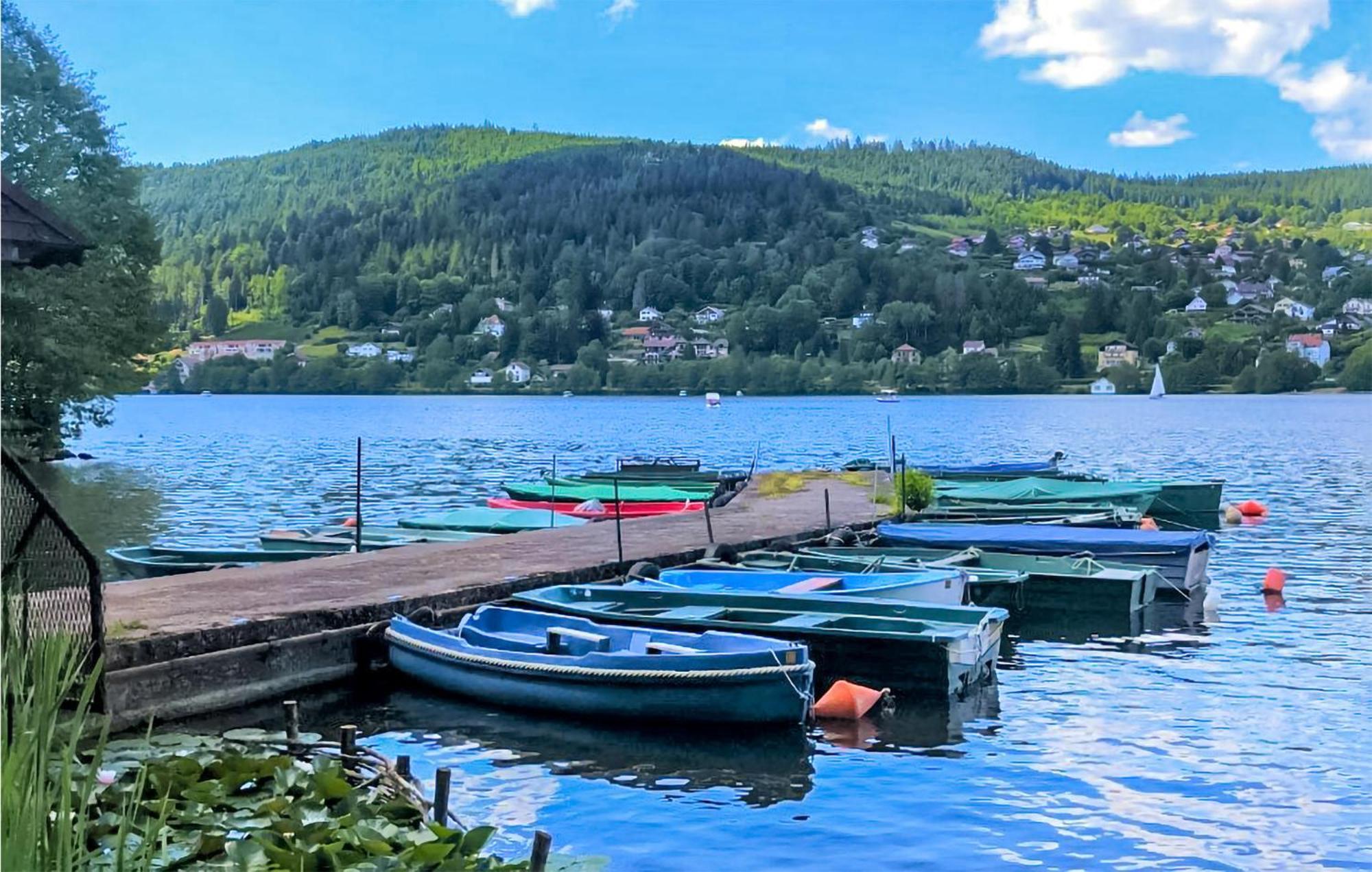 Gorgeous Apartment In Gerardmer With Kitchen Екстериор снимка