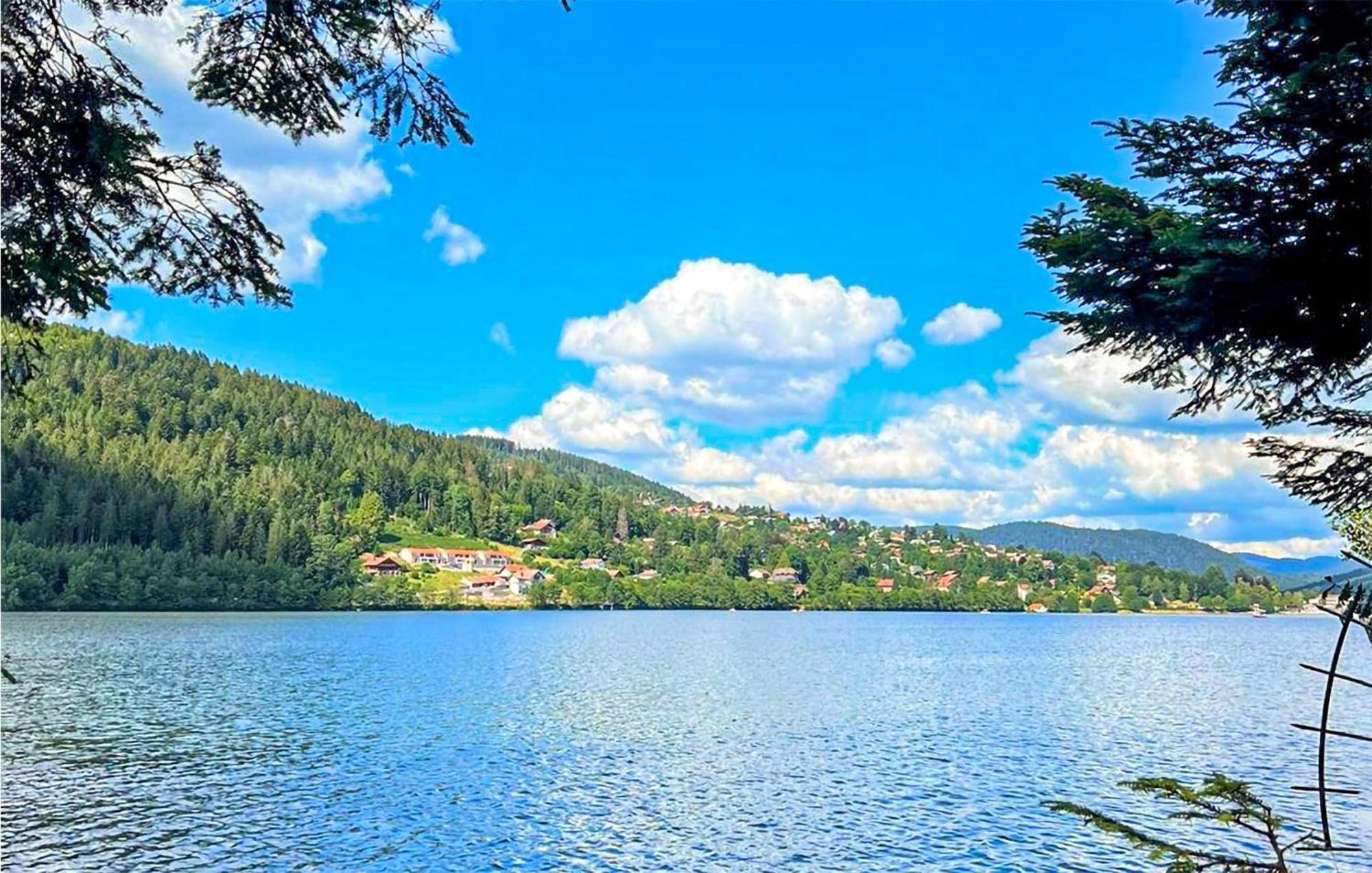 Gorgeous Apartment In Gerardmer With Kitchen Екстериор снимка